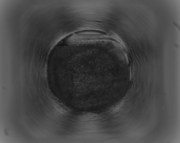 X0000093120387200710171250