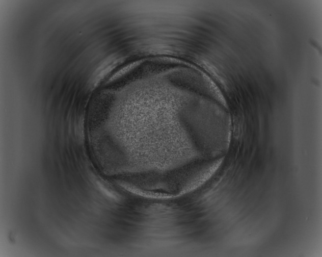 X0000093120390200710171250