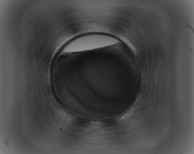 X0000093120391200710171250