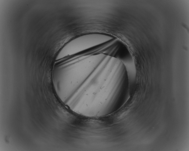 X0000093120393200710171250