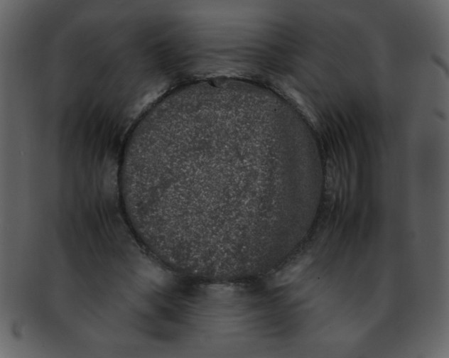 X0000093120394200710171250