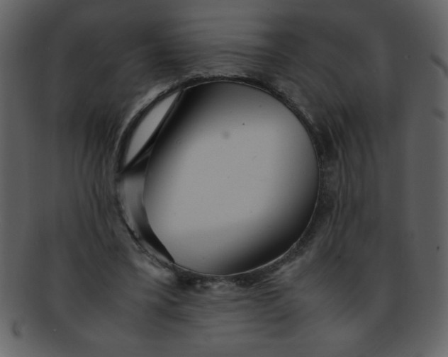 X0000093120395200710171250