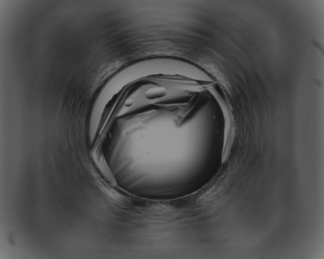 X0000093120397200710171250