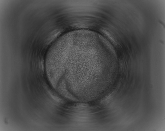 X0000093120398200710171250