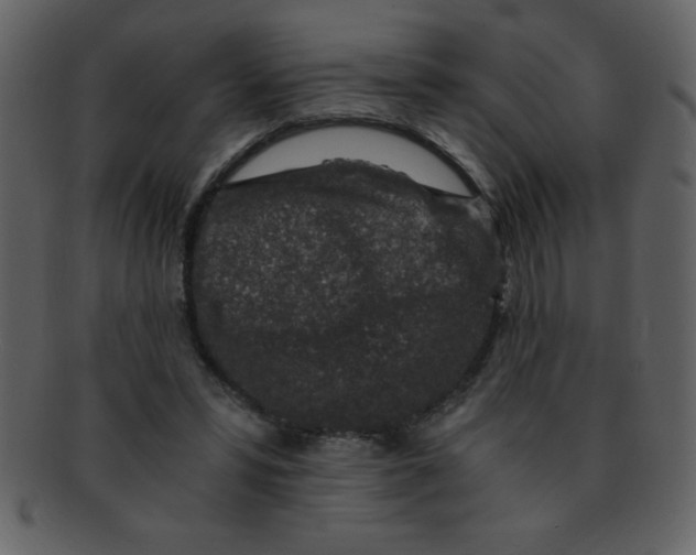 X0000093120399200710171250