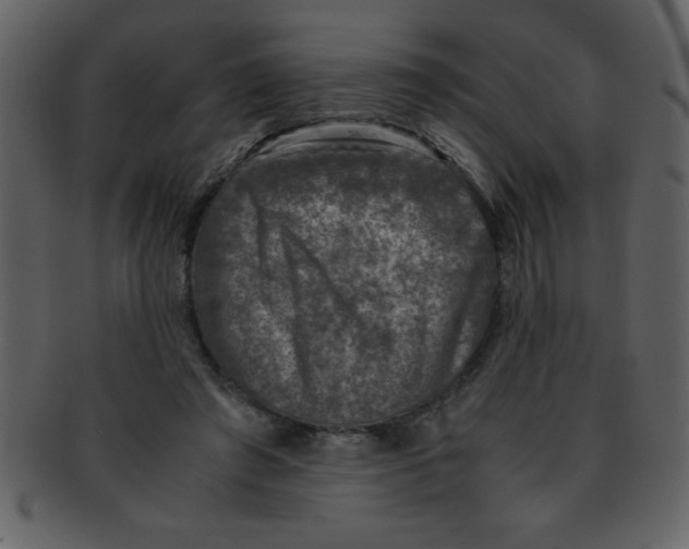 X0000093120401200710171250