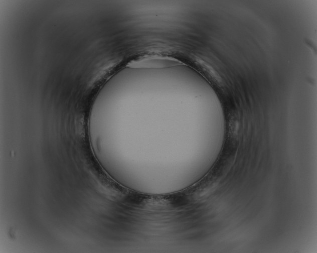 X0000093120403200710171250