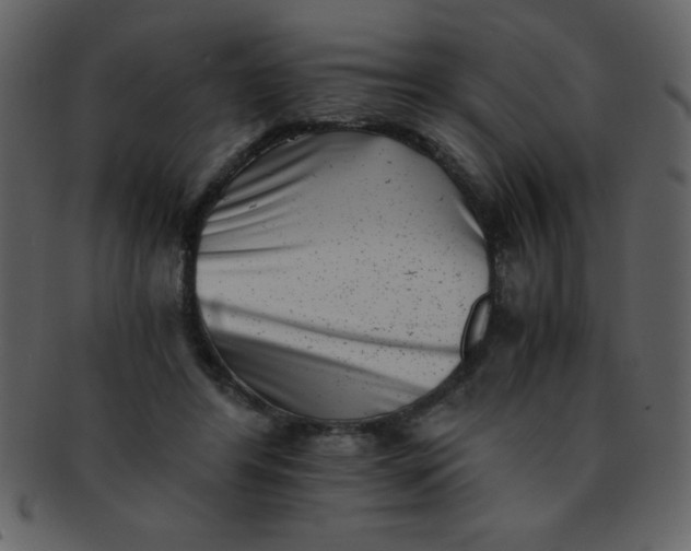 X0000093120404200710171250