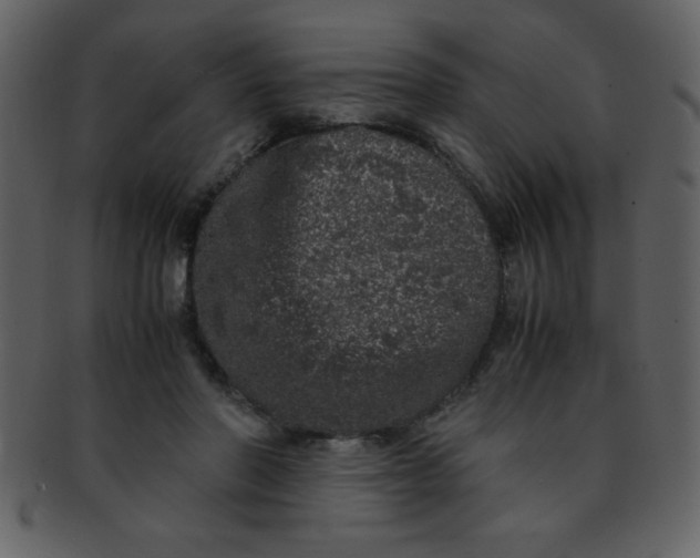 X0000093120406200710171250