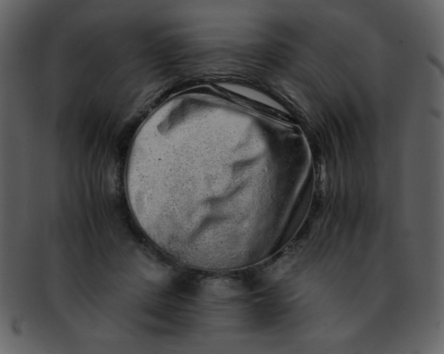 X0000093120408200710171250