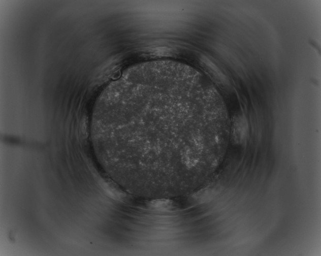 X0000093120410200710171250