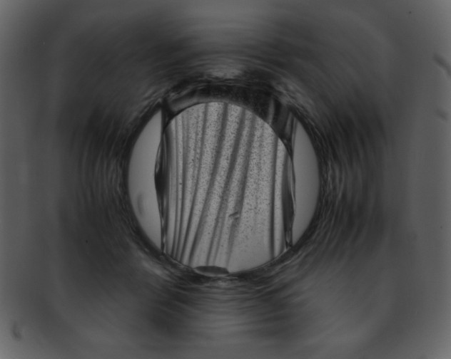 X0000093120412200710171250