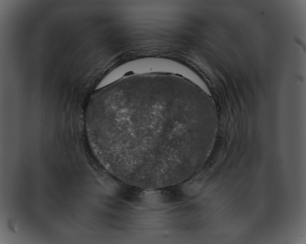 X0000093120413200710171250