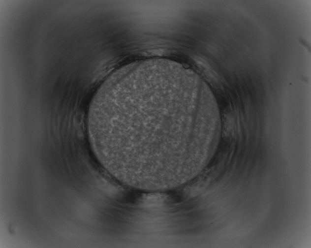 X0000093120414200710171250