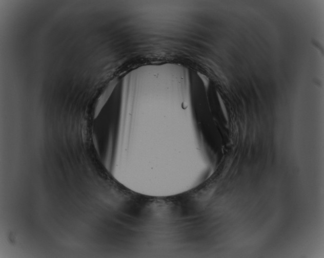 X0000093120416200710171250