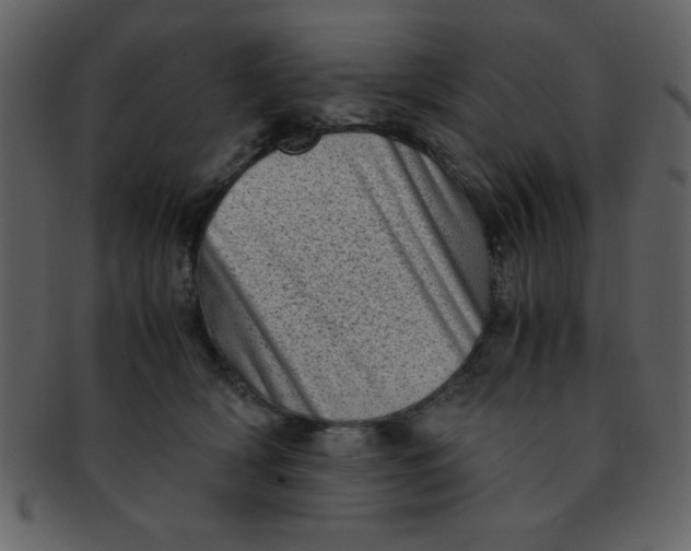 X0000093120418200710171250