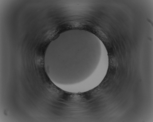 X0000093120419200710171250