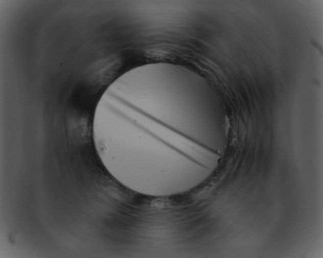 X0000093120420200710171250