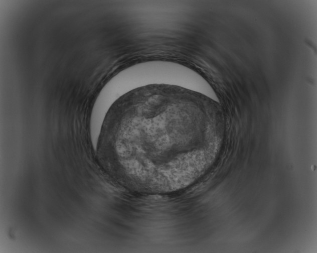 X0000093120421200710171250