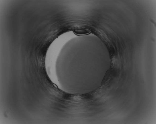 X0000093120423200710171250