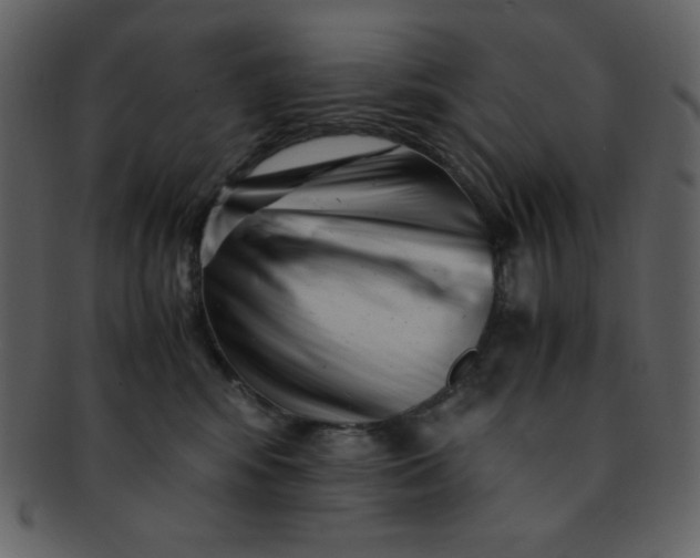 X0000093120424200710171250