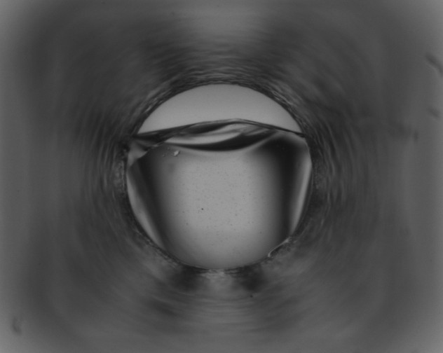 X0000093120425200710171249