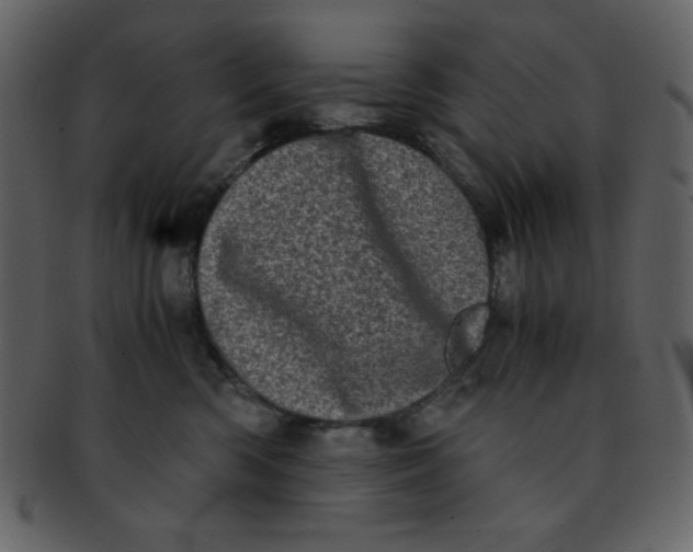 X0000093120426200710171249