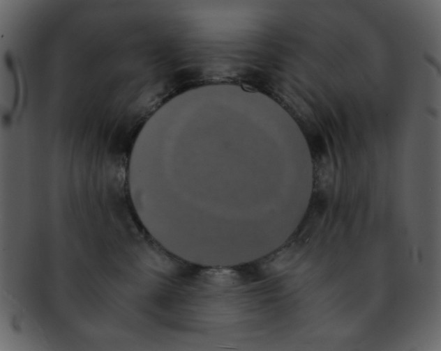 X0000093120427200710171249