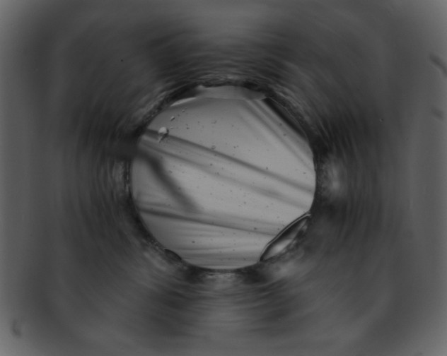 X0000093120428200710171249