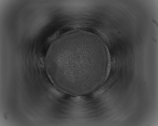 X0000093120430200710171249