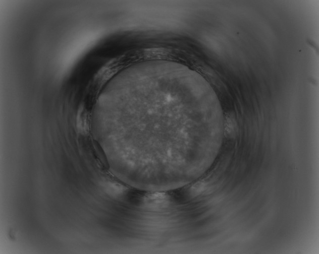 X0000093120431200710171249