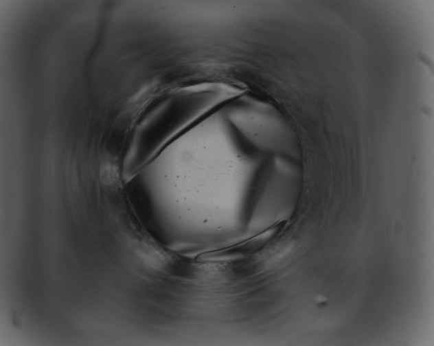 X0000093120432200710171249