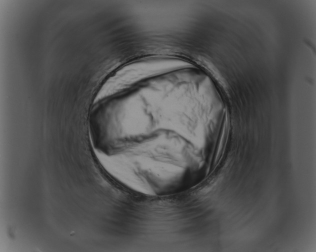 X0000093120433200710171249