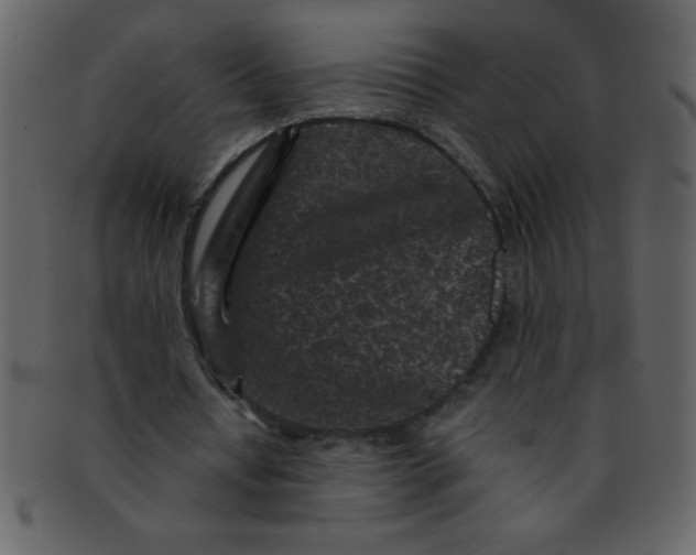 X0000093120434200710171249