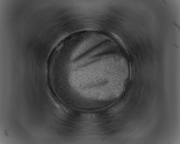 X0000093120435200710171249