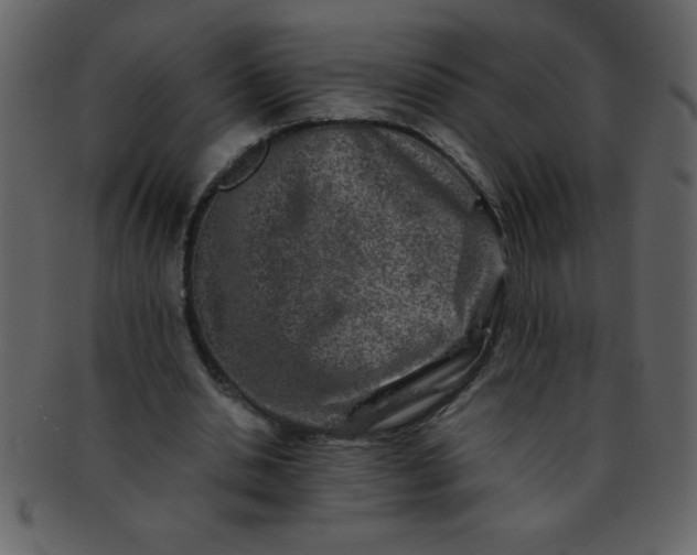 X0000093120438200710171249