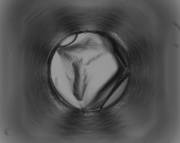 X0000093120439200710171249