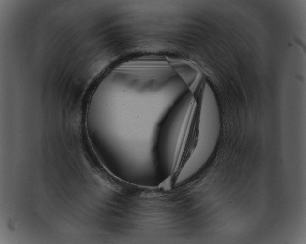 X0000093120440200710171249