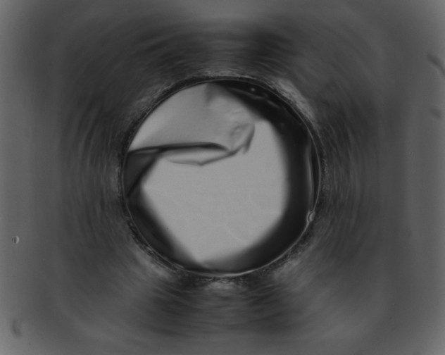 X0000093120441200710171249