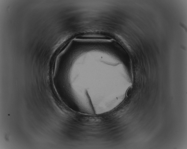 X0000093120443200710171249