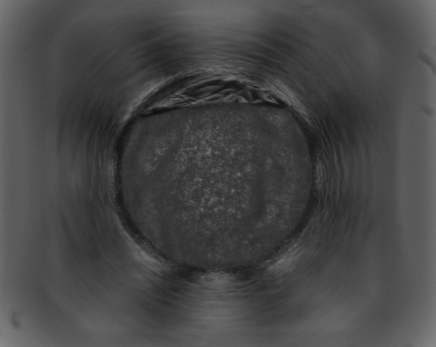 X0000093120444200710171249