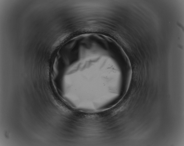 X0000093120446200710171249