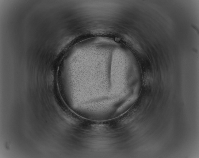 X0000093120448200710171249