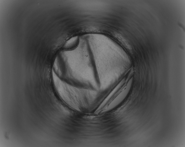 X0000093120449200710171249