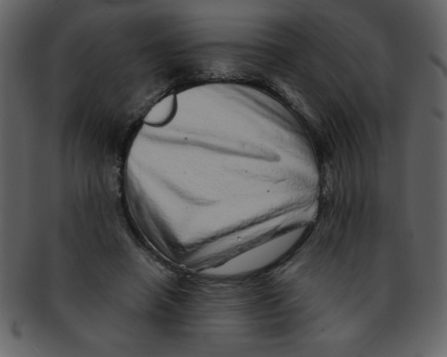 X0000093120450200710171249