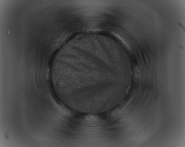 X0000093120451200710171249