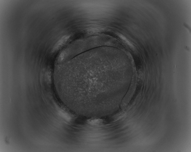 X0000093120452200710171249