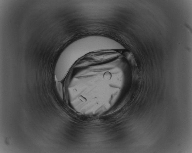 X0000093120456200710171249