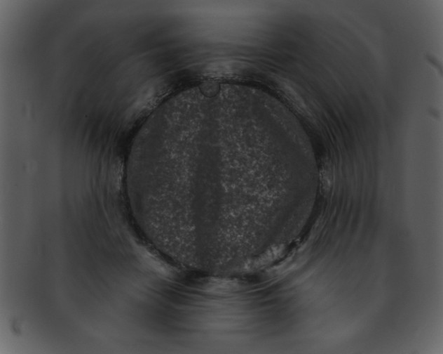 X0000093120458200710171249