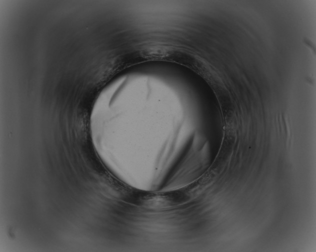 X0000093120460200710171249